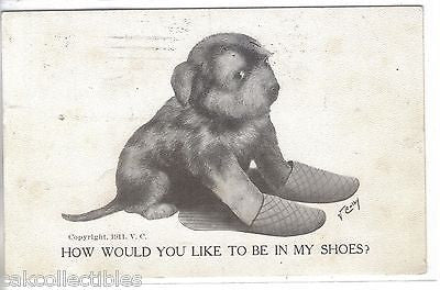 "How Would You Like To Be In My Shoes?"-Dog V.Colby 1911 - Cakcollectibles