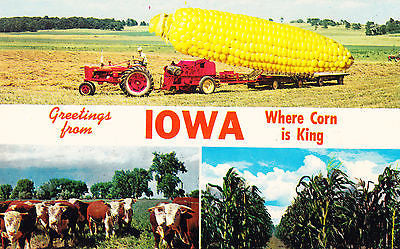 Greetings From Iowa Postcard - Cakcollectibles