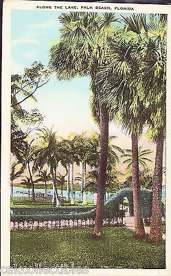 Along The Lake-Palm Peach,Florida - Cakcollectibles