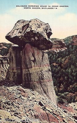 Balanced Petrified Stump in Cedar Canyon-North Dakota Bad Lands 1939 - Cakcollectibles