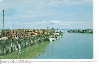 Lobster Traps and Fishing in The Harbor at Alma,New Brunswick,Canada 1969 - Cakcollectibles