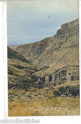 Scene in Big Horn Mountains-Wyoming - Cakcollectibles