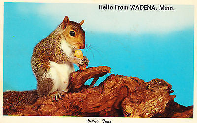 Hello From Wadena Minnesota Postcard - Cakcollectibles