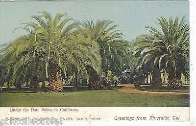 Under The Date Palms in California-Greetings from Riverside,California UDB - Cakcollectibles