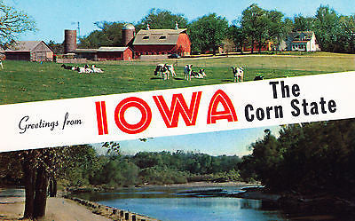 Greetings From Iowa The Corn State Postcard - Cakcollectibles