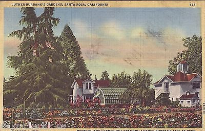 Luther Burbank's Gardens-Santa Rosa,California 1943 - Cakcollectibles