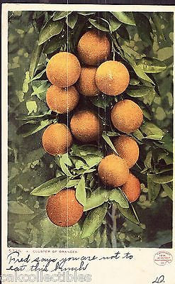 A Cluster of Oranges 1907 - Cakcollectibles