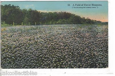 A Field of Clover Blossoms 1914 - Cakcollectibles
