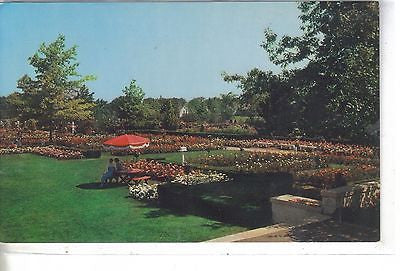 A Section of The Jackson & Perkins Rose Gardens, Newark, N. Y. - Cakcollectibles