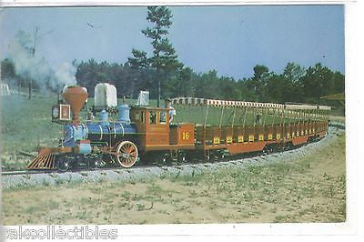 The Old Iron Horse-Black Hills of South Dakota - Cakcollectibles