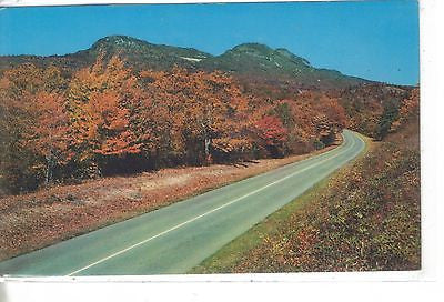 Fall Color On Skyline In Virginia - Cakcollectibles