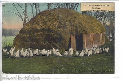 "We All Scratch For The Country Farmer"-Chickens 1912 - Cakcollectibles