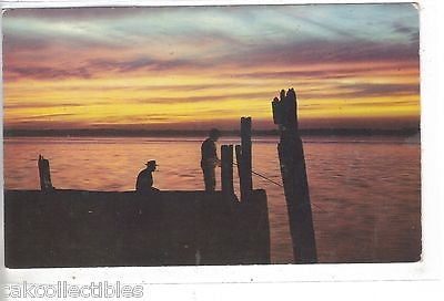 Fishing at Sunset-Greetings from Muskegon Heights,Michigan - Cakcollectibles