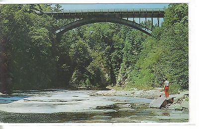 Highway Bridge Over Famous Ausable Chasm Ausable Chasm, N. Y. - Cakcollectibles