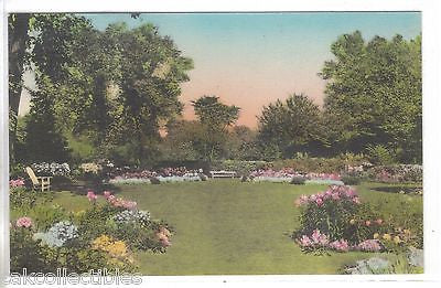 A View of The Garden,Andover Inn -Andover,Massachusetts (Hand Colored) - Cakcollectibles