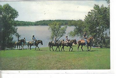 Vacationare ''The Family Resort'' Park Rapids, MN - Cakcollectibles