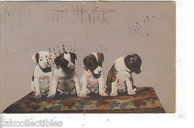 4 Puppies "Newark Beauties"-Newark,Ohio  1911 - Cakcollectibles