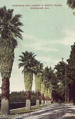Magnolia Avenue,Albert S. White Palms-Riverside,California - Cakcollectibles