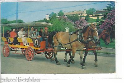 Lilac Time-Mackinac Island,Michigan (Horse and Carriage) - Cakcollectibles
