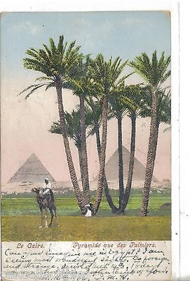 Pyramide vue des Palmiers-Le Caire-Egypt 1906 - Cakcollectibles - 1