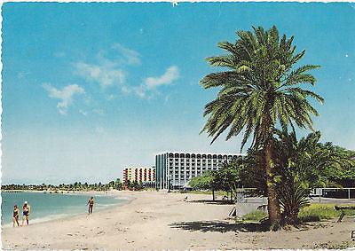 Modern Hotels On Palm Beach Bermuda Postcard - Cakcollectibles - 1