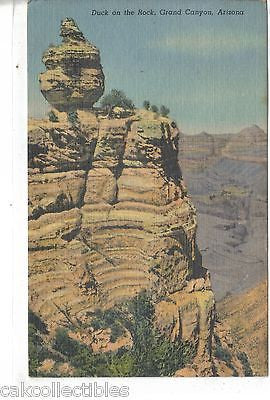 Duck on The Rock-Grand Canyon,Arizona 1960 - Cakcollectibles