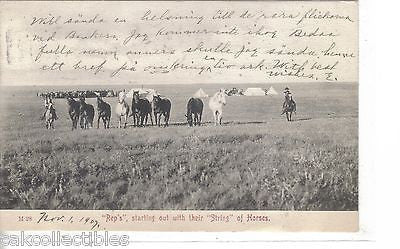 "Reps",starting out with thier "String" of Horses 1907 - Cakcollectibles - 1