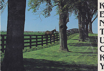 Greetings From Central Kentucky Horse Farm Postcard - Cakcollectibles - 1