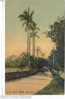 Royal Palms-Bermuda UDB - Cakcollectibles