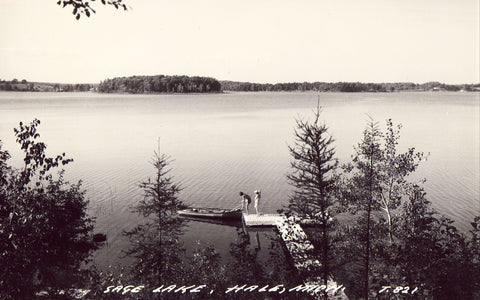 Sage Lake - Hale,Michigan.Front of real photo postcard