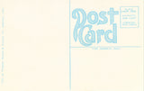 A Pretty Garden - Piedmont,California Vintage Postcard Back