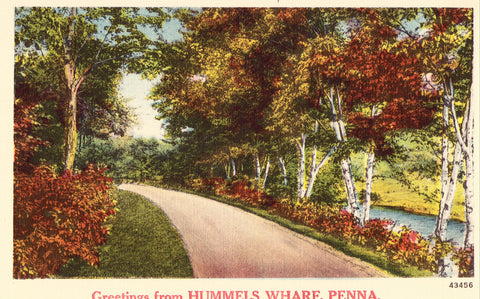 Linen postcard front Greetings from Hummels Wharf,Pennsylavnia