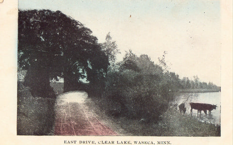East Drive,Clear Lake - Waseca,Minnesota. Vintage postcard front