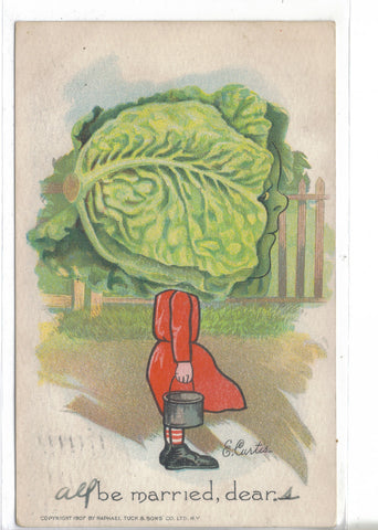Tuck's Garden Patch Post Card-Cabbage Head-be married,dear-E. Curtis 1908 - Cakcollectibles - 1