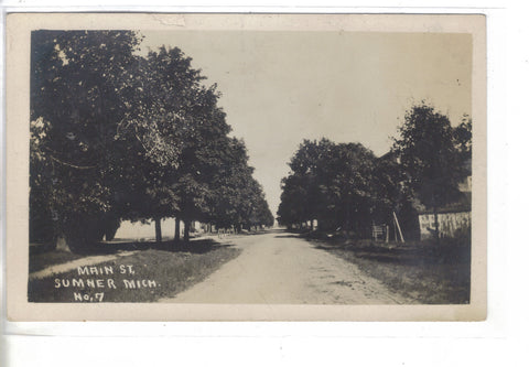 RPPC-Main Street-Sumner,Michigan 1912 - Cakcollectibles - 1