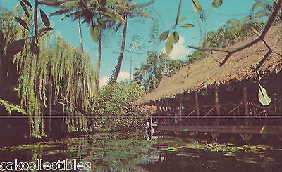 The Willows-Honolulu,Hawaii 1969 - Cakcollectibles