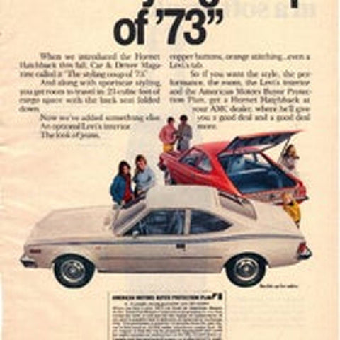 Vintage 1973 AMC Hornet and Coca-Cola Print Ad PA77