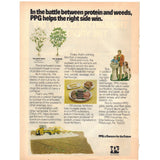 Vintage 1975 Volvo 164 and PPG Industries Print Ad,Wall Art