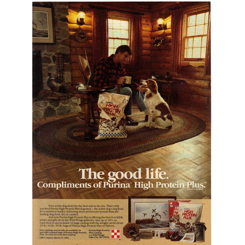 Vintage 1981 Print Ad for Purina High Protein Plus Dog Food