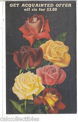Advertising Post Card-Roses from Empire Nurseries-Tyler,Texas 1949 - Cakcollectibles