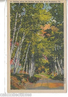 Driving along The Birches,Ames Hill-West Brattleboro,Vermont - Cakcollectibles