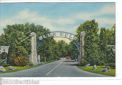Entrance to Blue Hole-Castalia,Ohio 1953 - Cakcollectibles