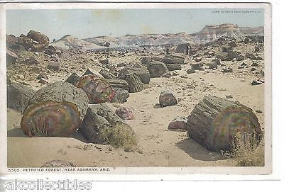 Petrified Forest near Adamana,Arizona 1913 - Cakcollectibles