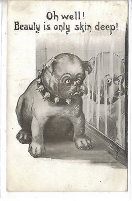 "Oh Well!Beauty is Only Skin Deep"-Bull Dog Signed Phillips 1911 - Cakcollectibles