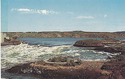 "Low Water,Reversing Falls Rapids" Saint John,New Brunswick,Canada Postcard - Cakcollectibles - 1