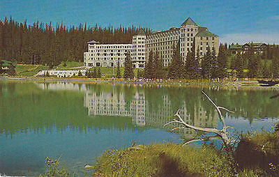 "Chateau Lake Loise" At Canadian Rockies Postcard - Cakcollectibles - 1