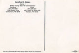 Carolyn H. Gates District 4 Board Of Commisioners Re-Elect Postcard - Cakcollectibles - 2
