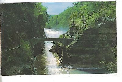 The Lower Falls of The Genesse River, Castile, N. Y. - Cakcollectibles