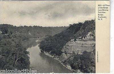 A View of The Gorge from Driving Park Ave. Bridge-Rochester,New York  UDB - Cakcollectibles