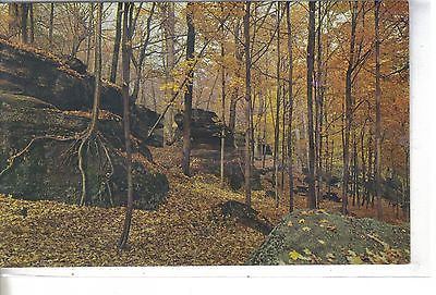Nelson & Kennedy Ledges State Forest Park Warren, Ohio - Cakcollectibles